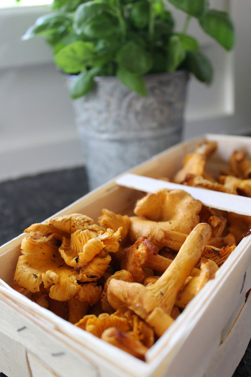 Chanterelle Mushrooms With Orzo