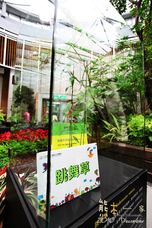 花博新生園區|未來館~台灣四大生態總匯集