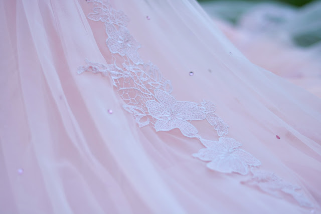 DSC_3438.JPG