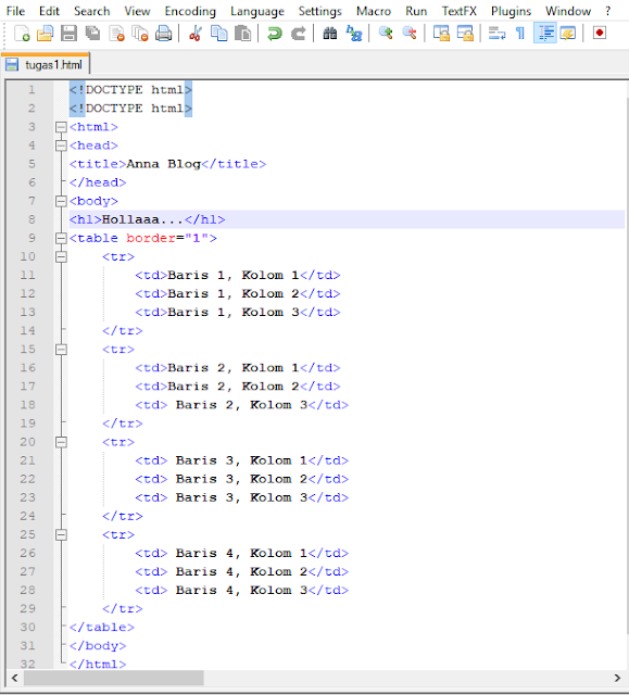 Cara Membuat Website Berbasis html dengan notepad++