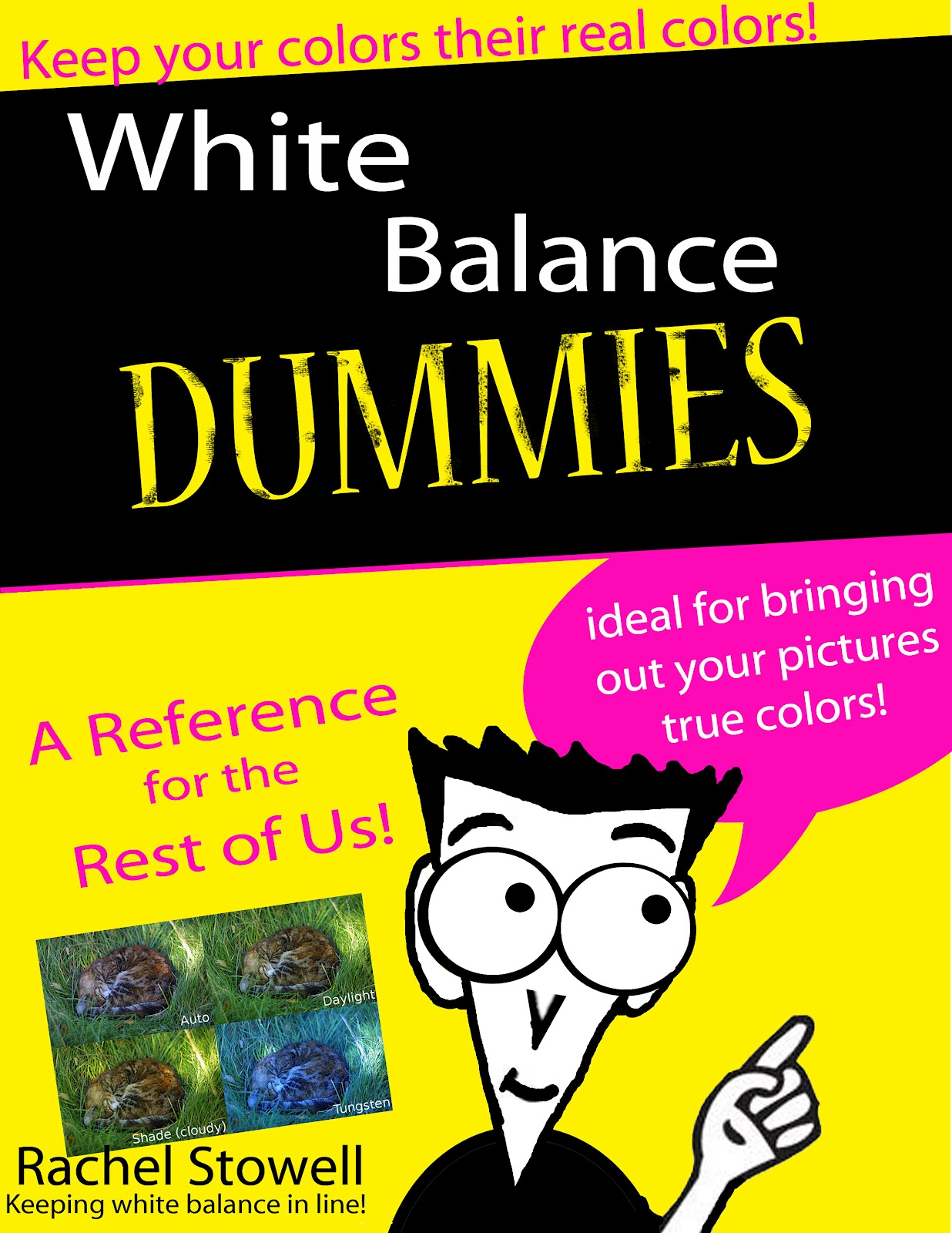 For Dummies For Dummies Template Book Cover