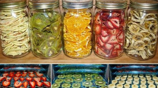 Healthy Dehydrated Fruit At Home