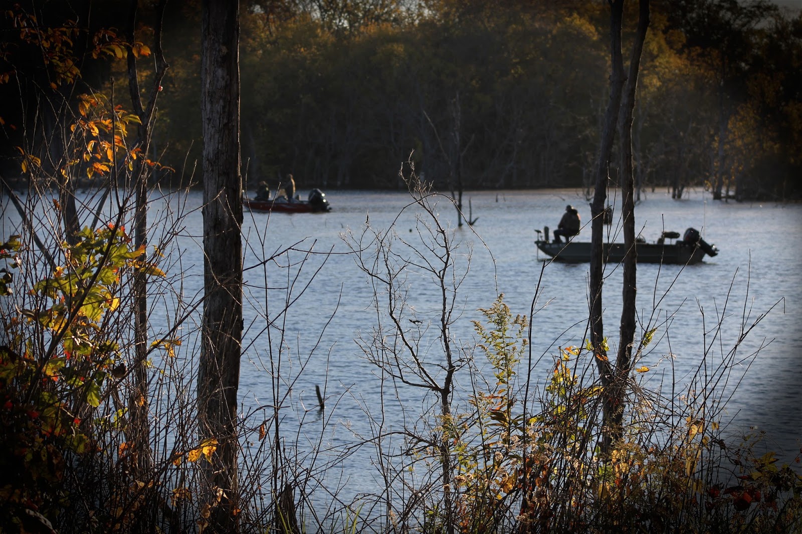 Capitol Outdoors Illinois' Hunting and Fishing Resource Illinois