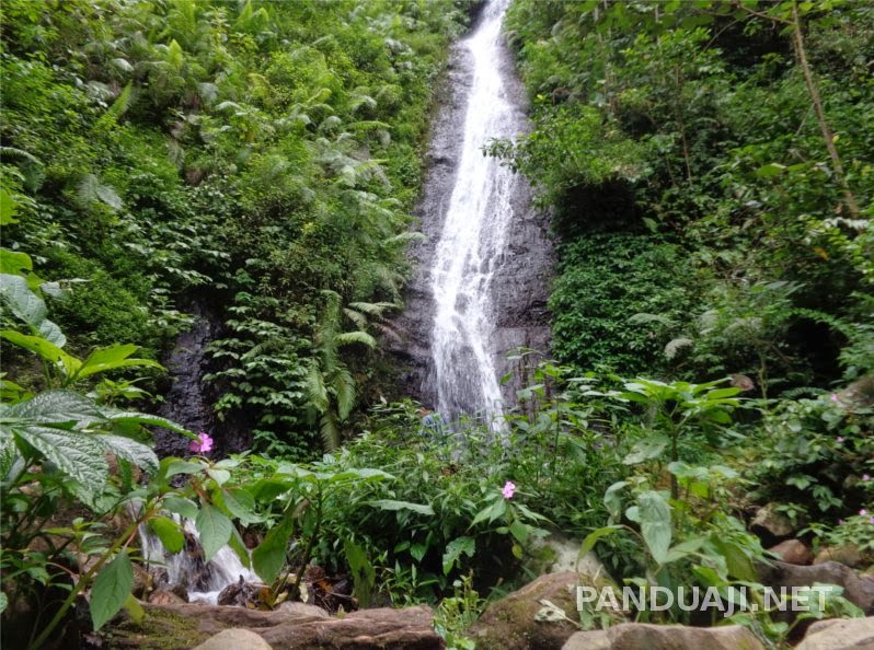 air terjun di sirah kencong air terjun di sirah kencong