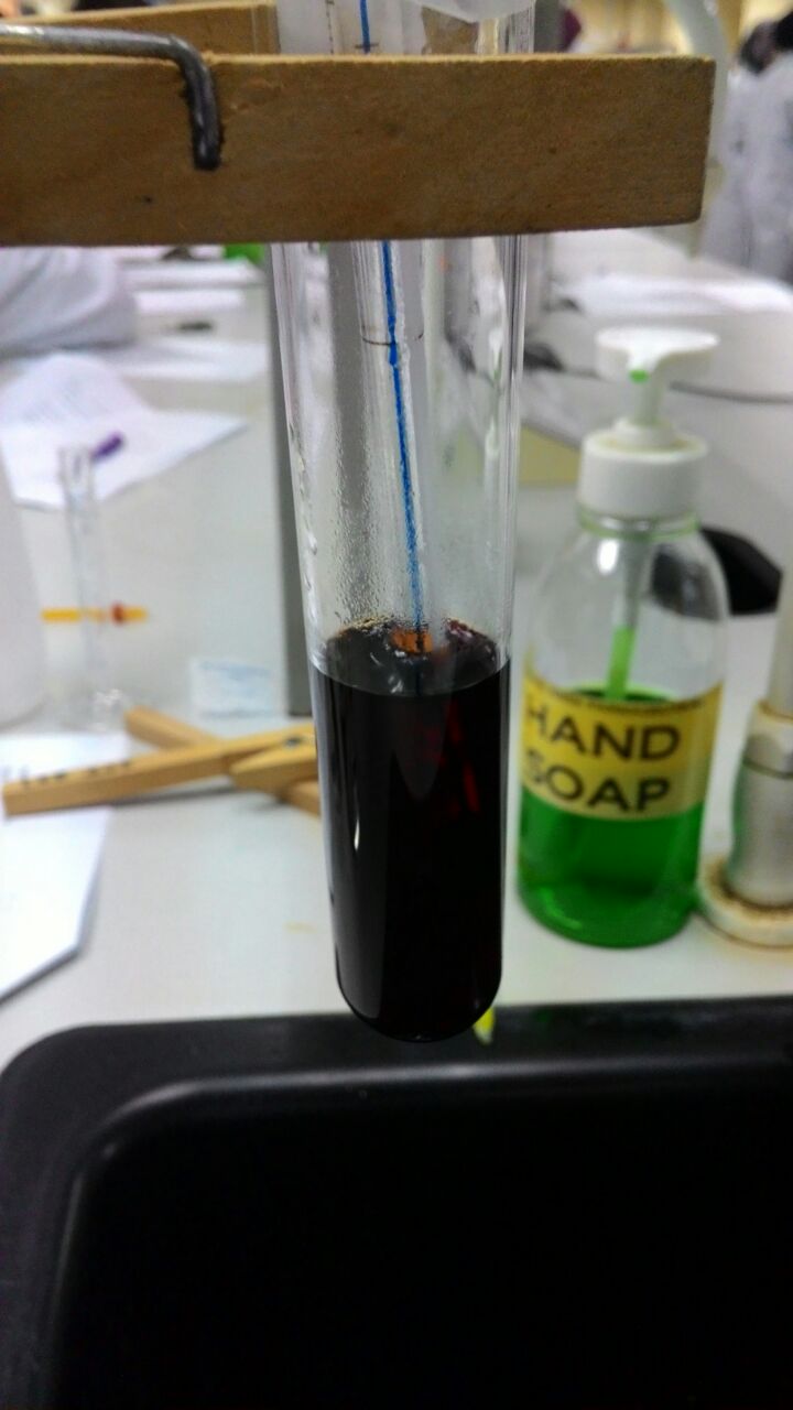 NFNF1213 Physicochemical Lab Report Lab 3 Part B (Mutual Solubility