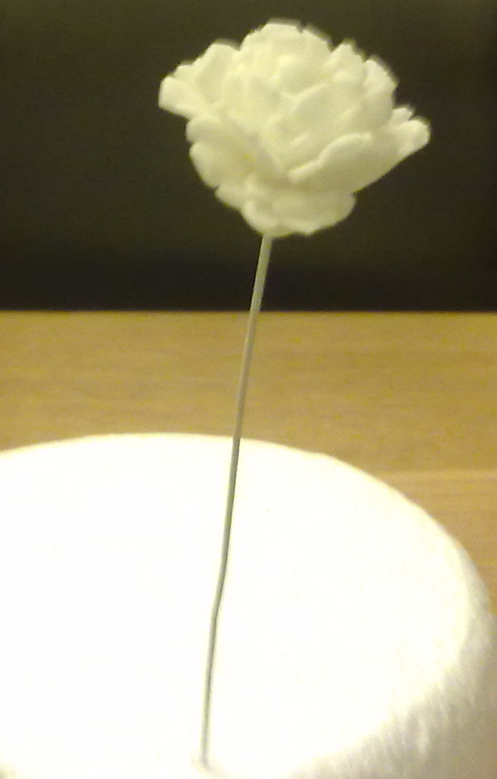 BakerLou How to make Sugar Carnations, stepbystep tutorial