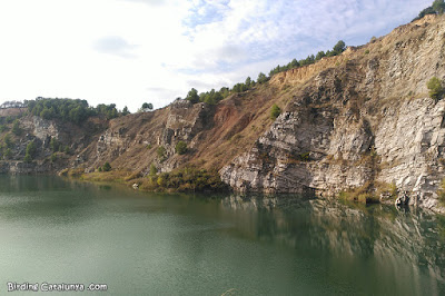 Pèlag Gran - Vilobí del Penedès