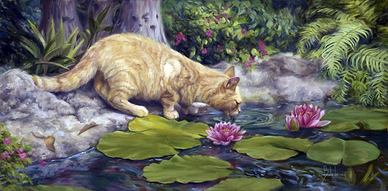 backgrounds tumblr cats Tutt'Art painter  Bilodeau, Wildlife 1967  Lucie