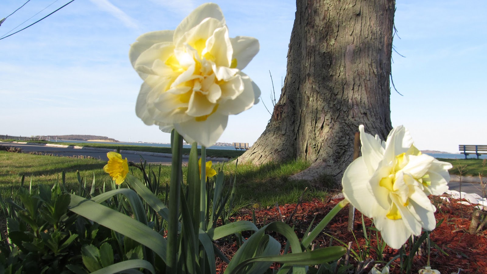 Tell Me a Story Odes to Colds