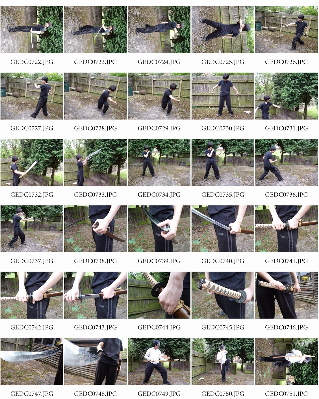 Sammy's Expanding Horizons: Contact Sheets