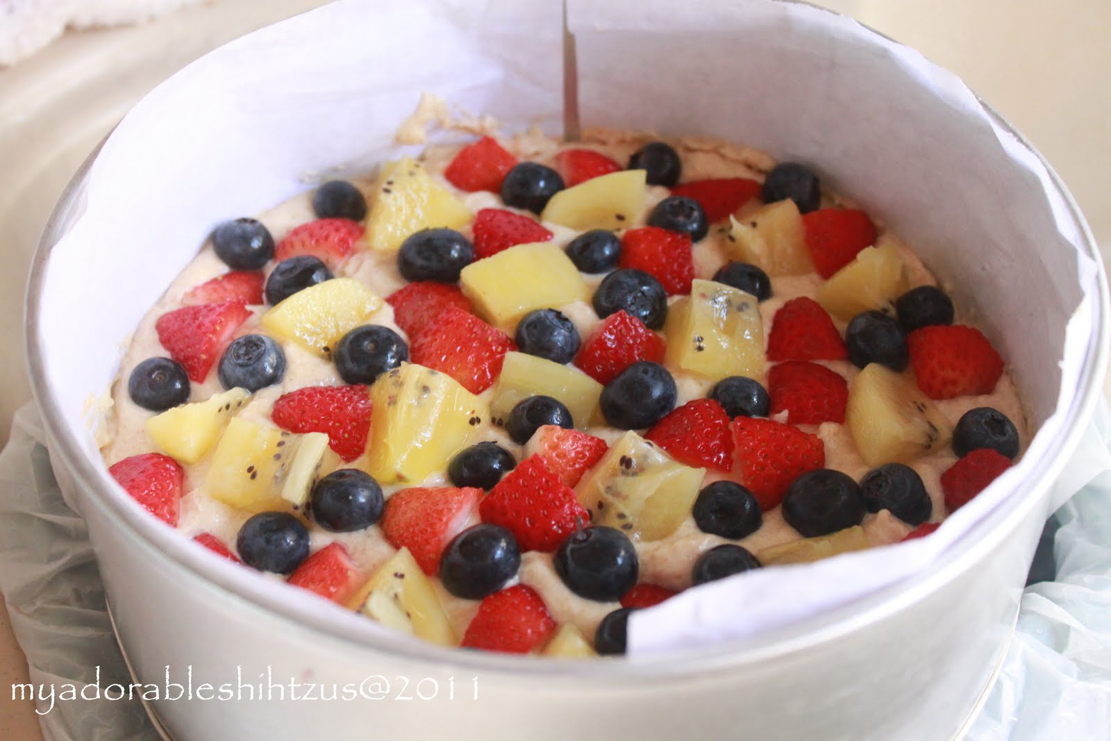 My adorable shih tzus Mixed Fruit Yogurt Cake