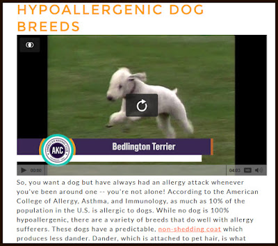 http://www.akc.org/about/faq-allergies/