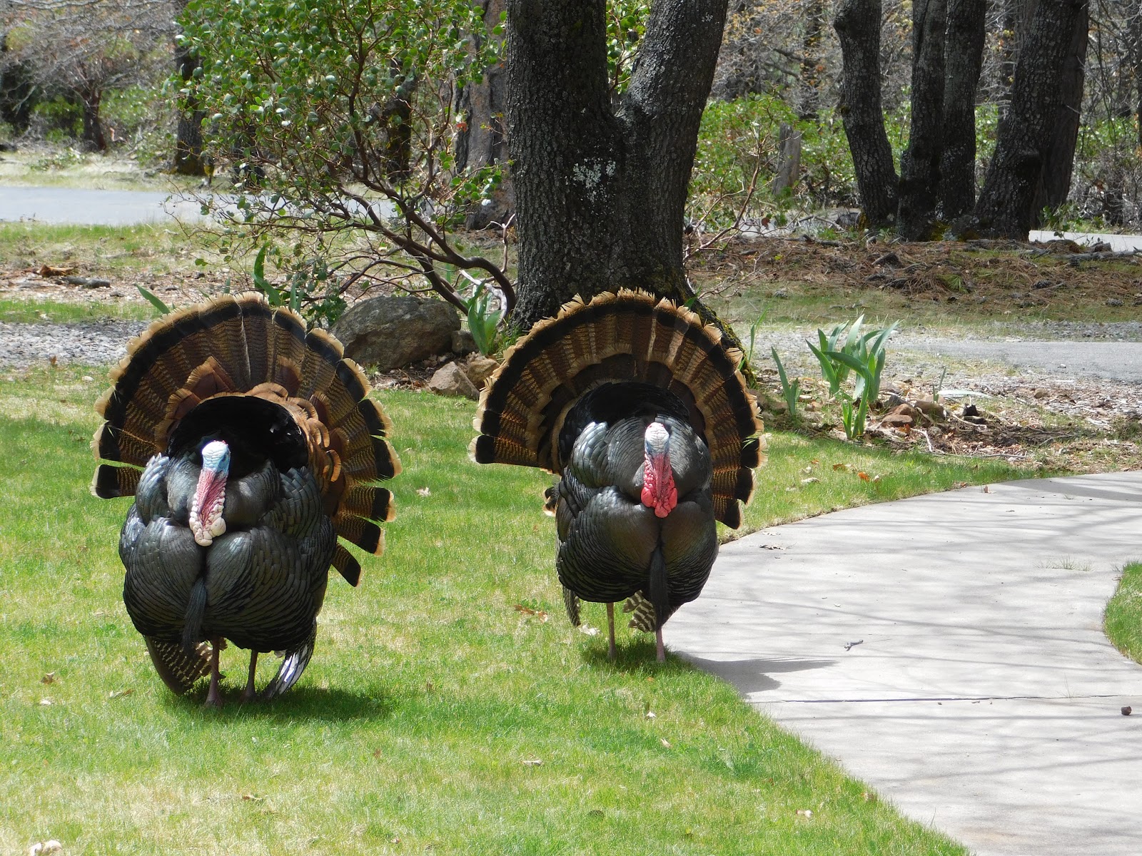 It S A Snap April 2018