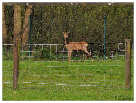 Pdf Catalog Who Sells It Com