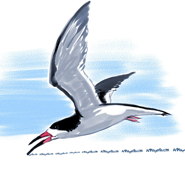 Black Skimmer is a bird painting by Artmagenta