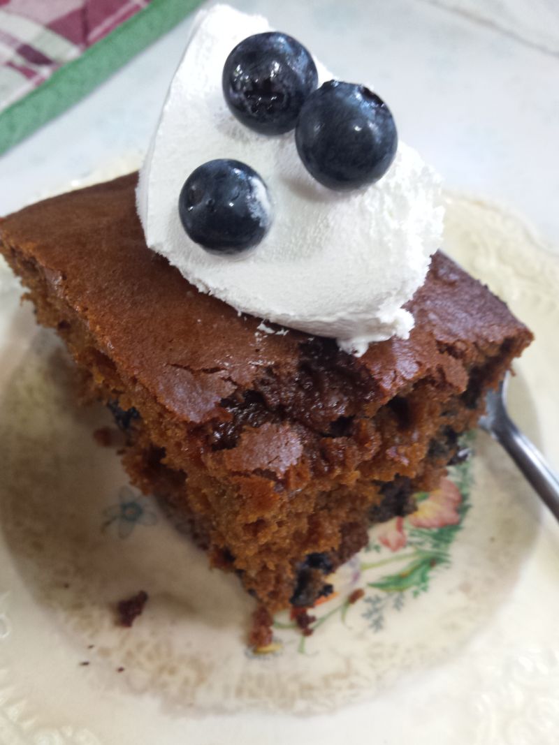 Pinehaven Farmersville, Ohio Fresh Blueberry Molasses Cake