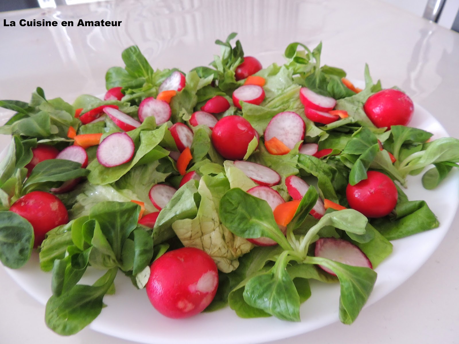 http://recettes.de/salade-de-radis