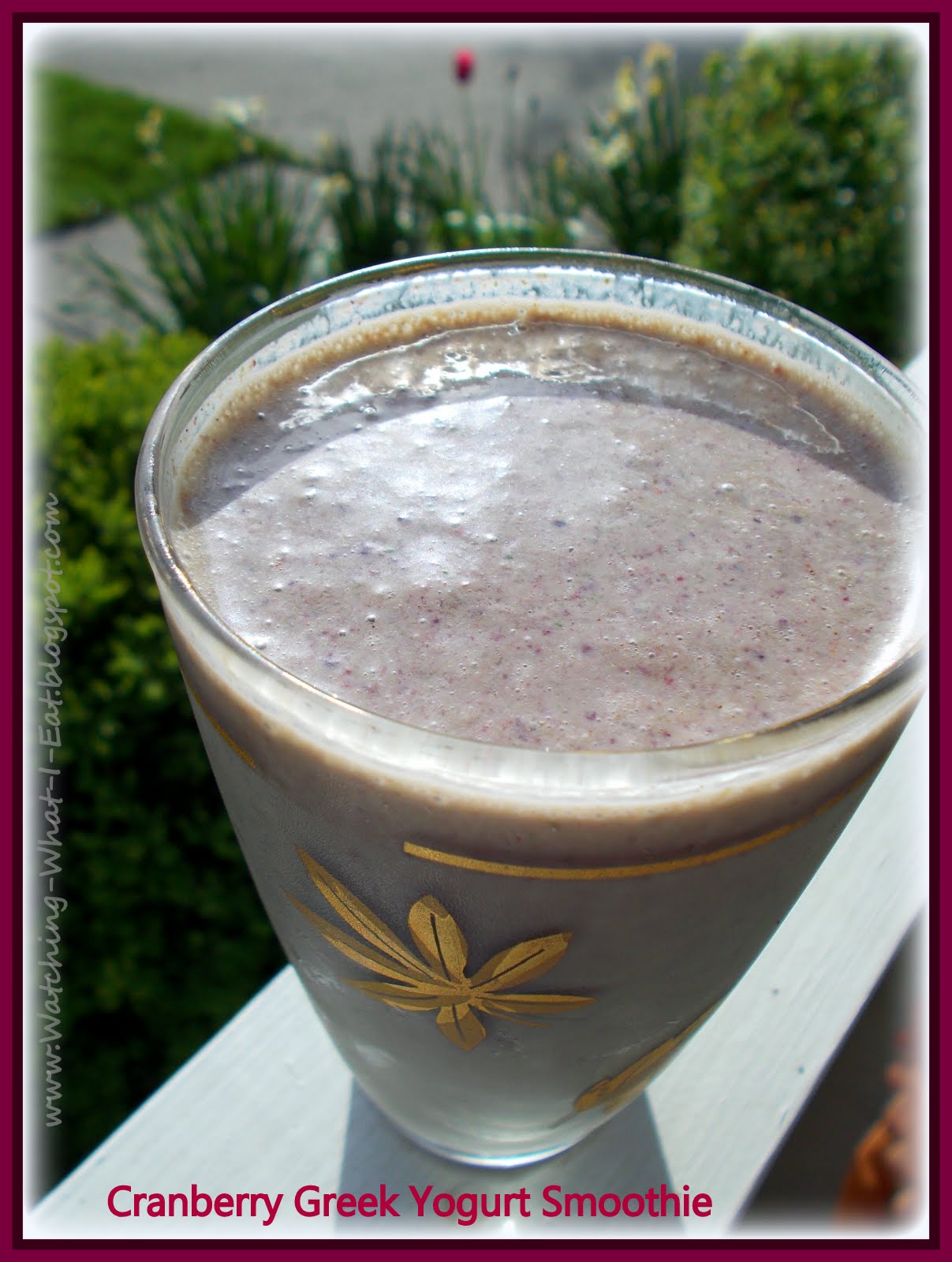 Watching What I Eat Cranberry Greek Yogurt Smoothie