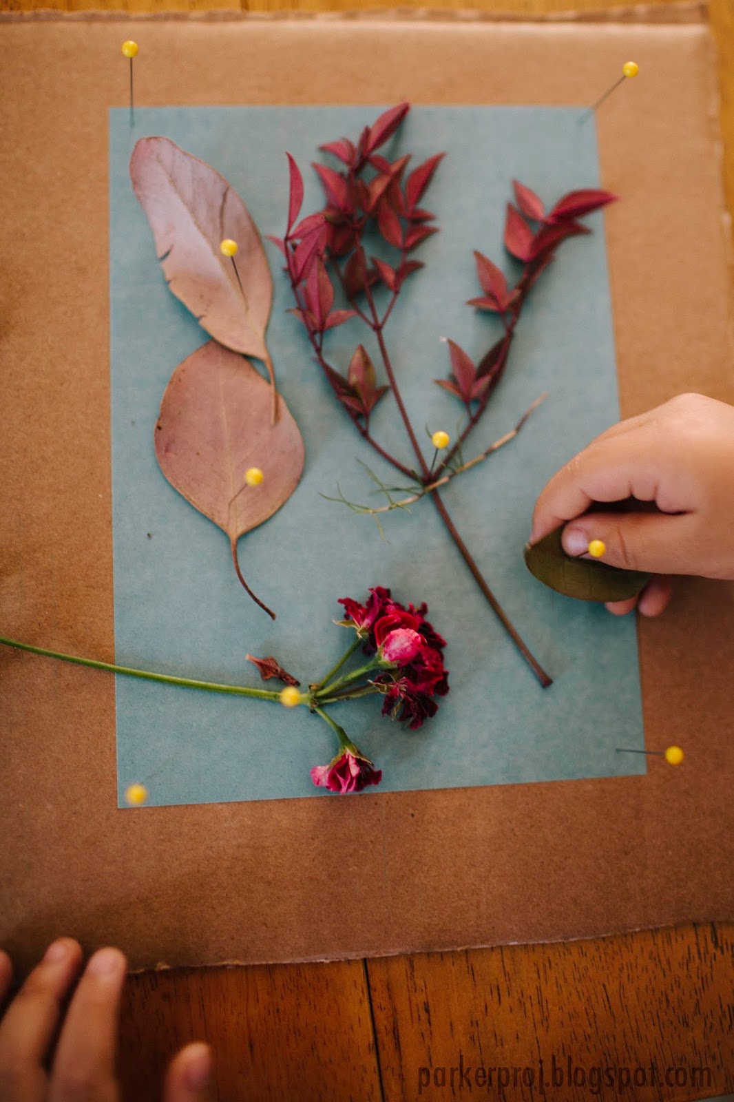 The Parker Project Cyanotype (Sun Paper Art) Toddler Art