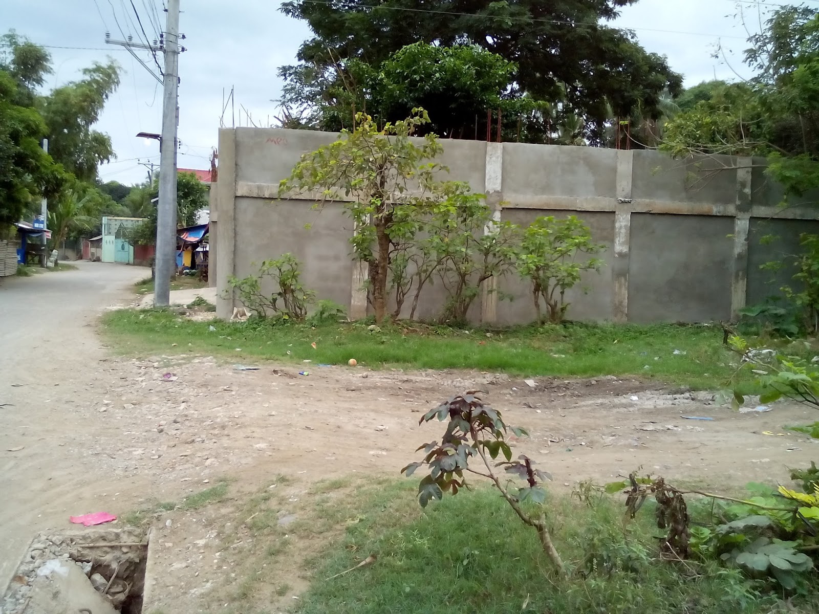 REAL ESTATE PROPERTY IN THE PHILIPPINES 4882 sq.m. Lot for sale at