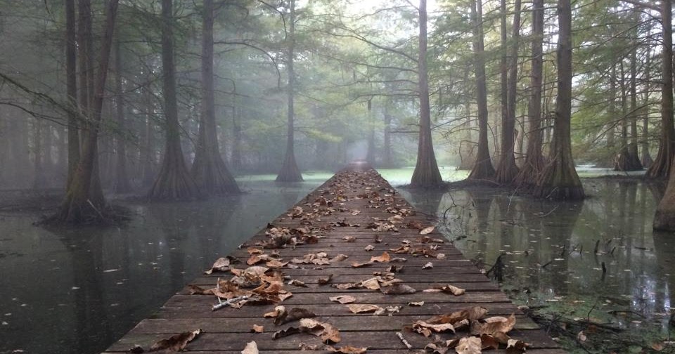 Loup Garou Trail Run DECEMBER 15, 2018