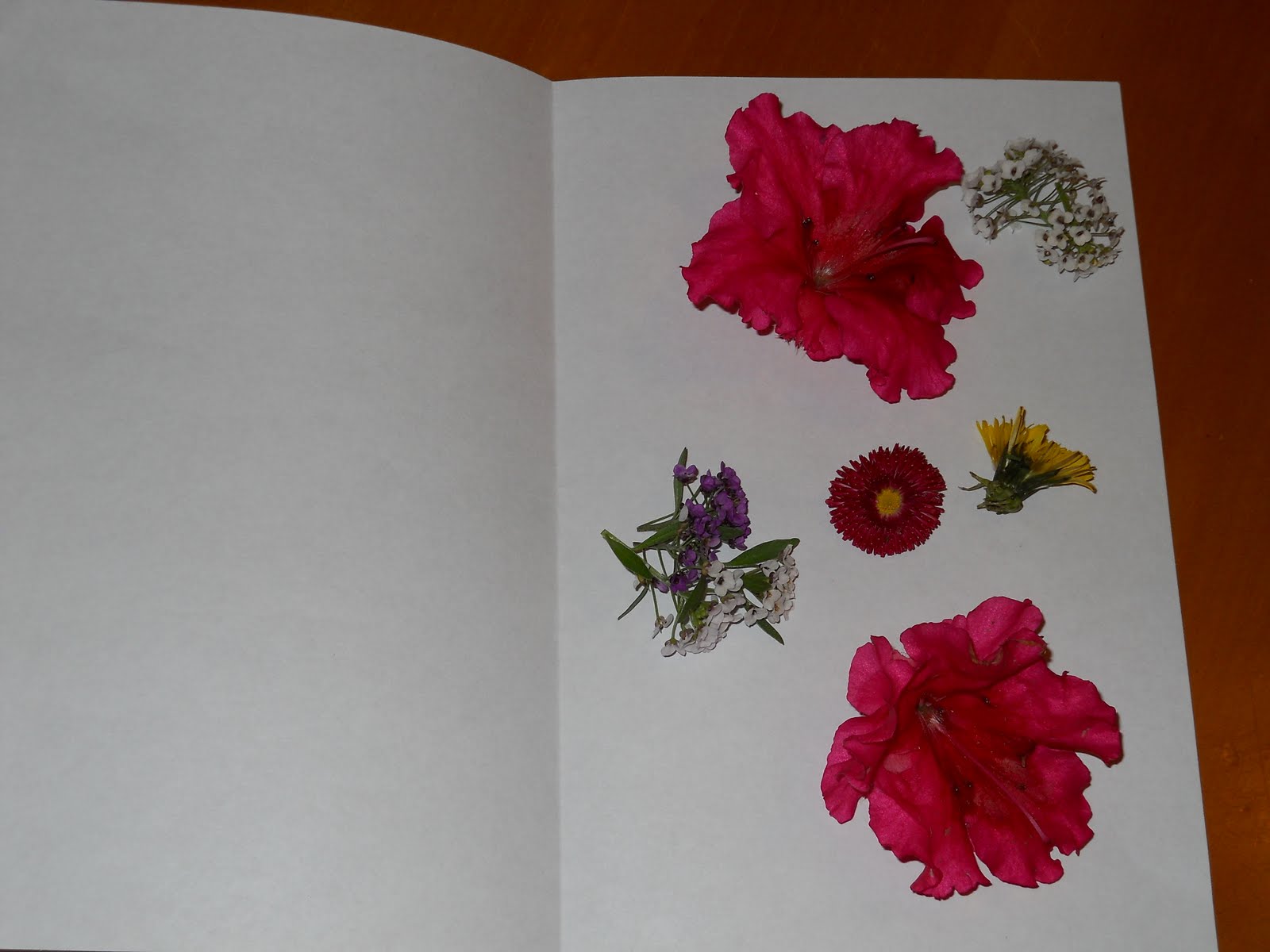 Learning and Teaching With Preschoolers Flower Prints