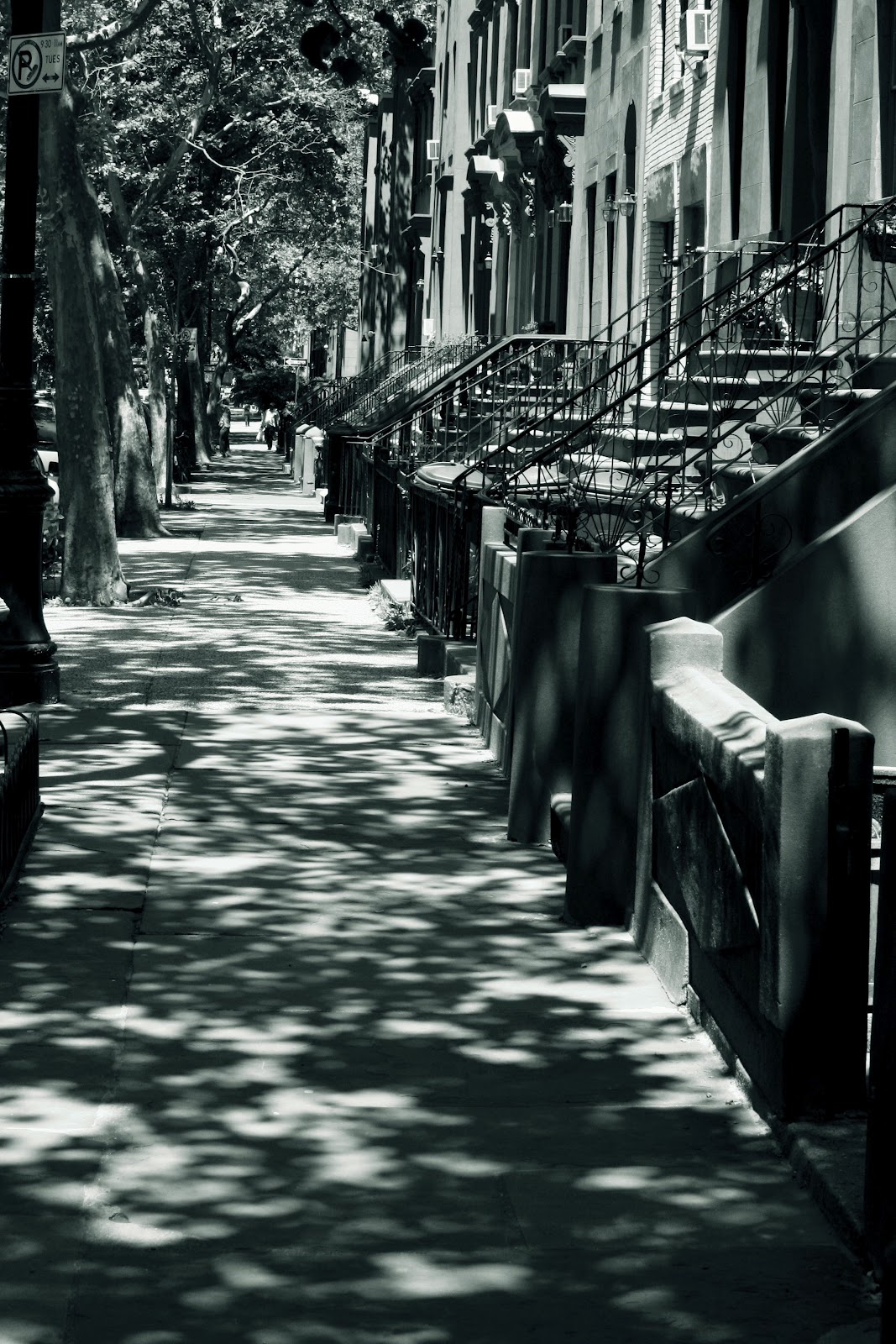 Fanfan raccoone des histoires I love Brooklyn