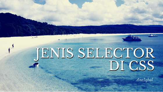 enis Selector yang Ada di CSS enis Selector yang Ada di CSS