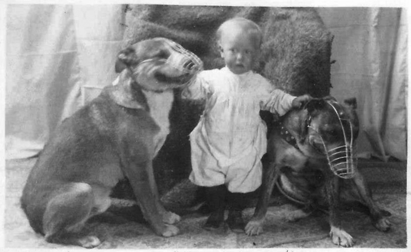 The TRUTH About Pit Bulls: The Nanny Dog Myth Revealed