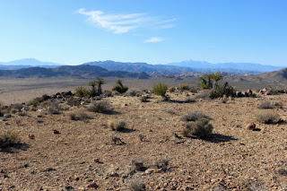 View west toward the Wonderland of Rocks along the western edge of Queen Valley from the southern edge of the broad summit area of Negro Hill, Joshua Tree National Park