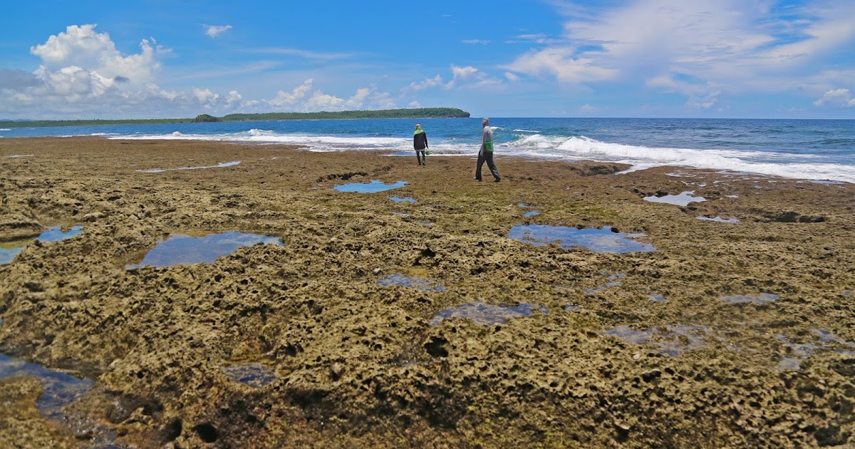 Arts and crafts The best of Eastern Samar