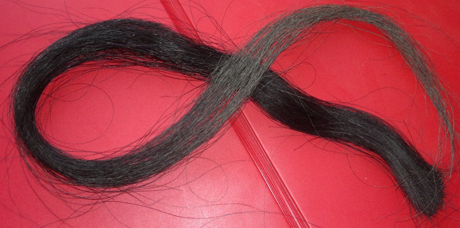 The Horsehair Bracelet Project From horse's tail to bracelet