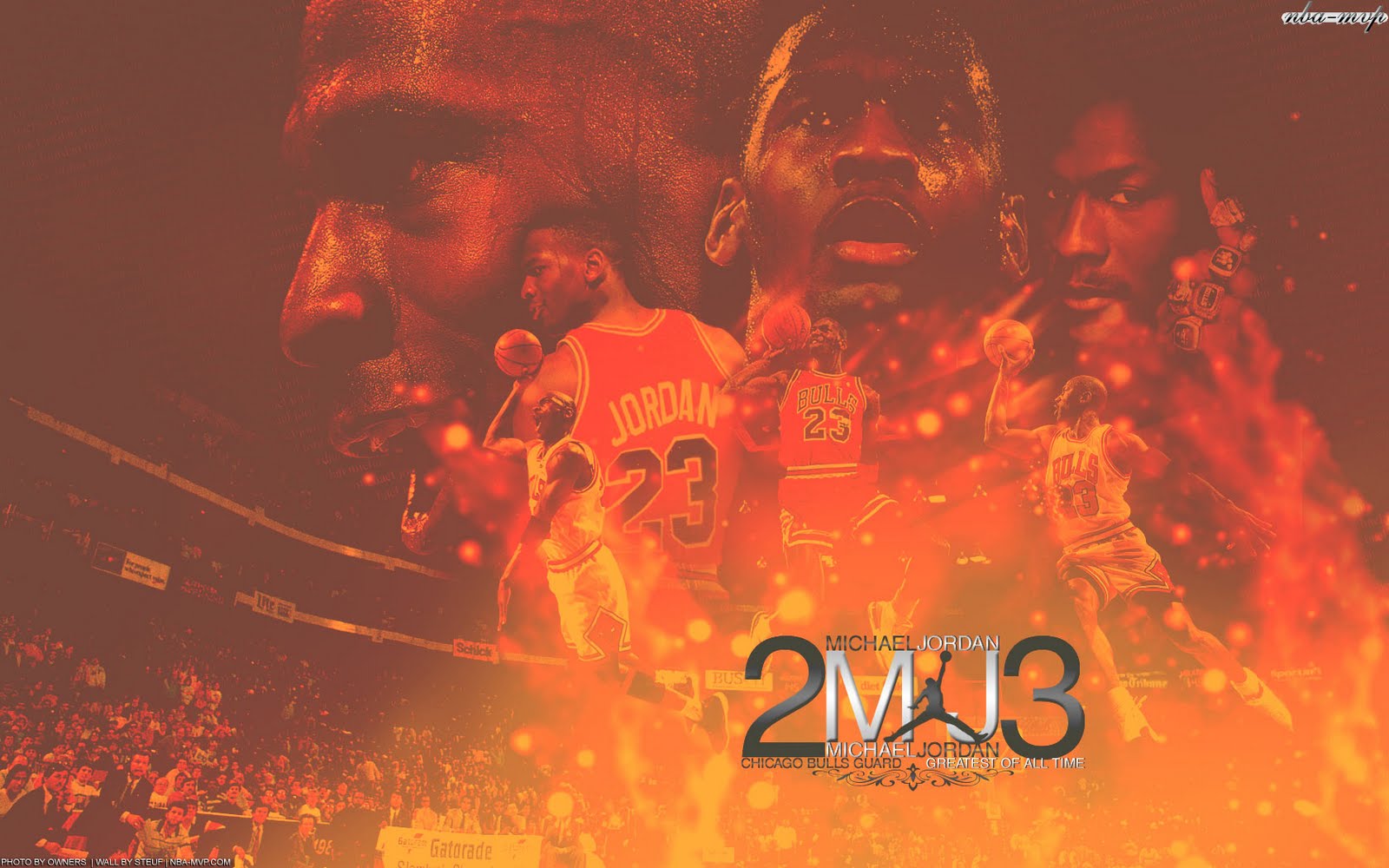 mj dunk