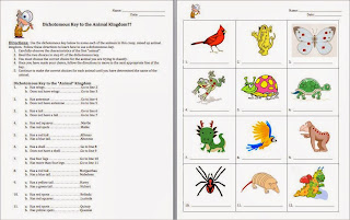 Dichotomous Key Worksheets For Middle School Dichotomous