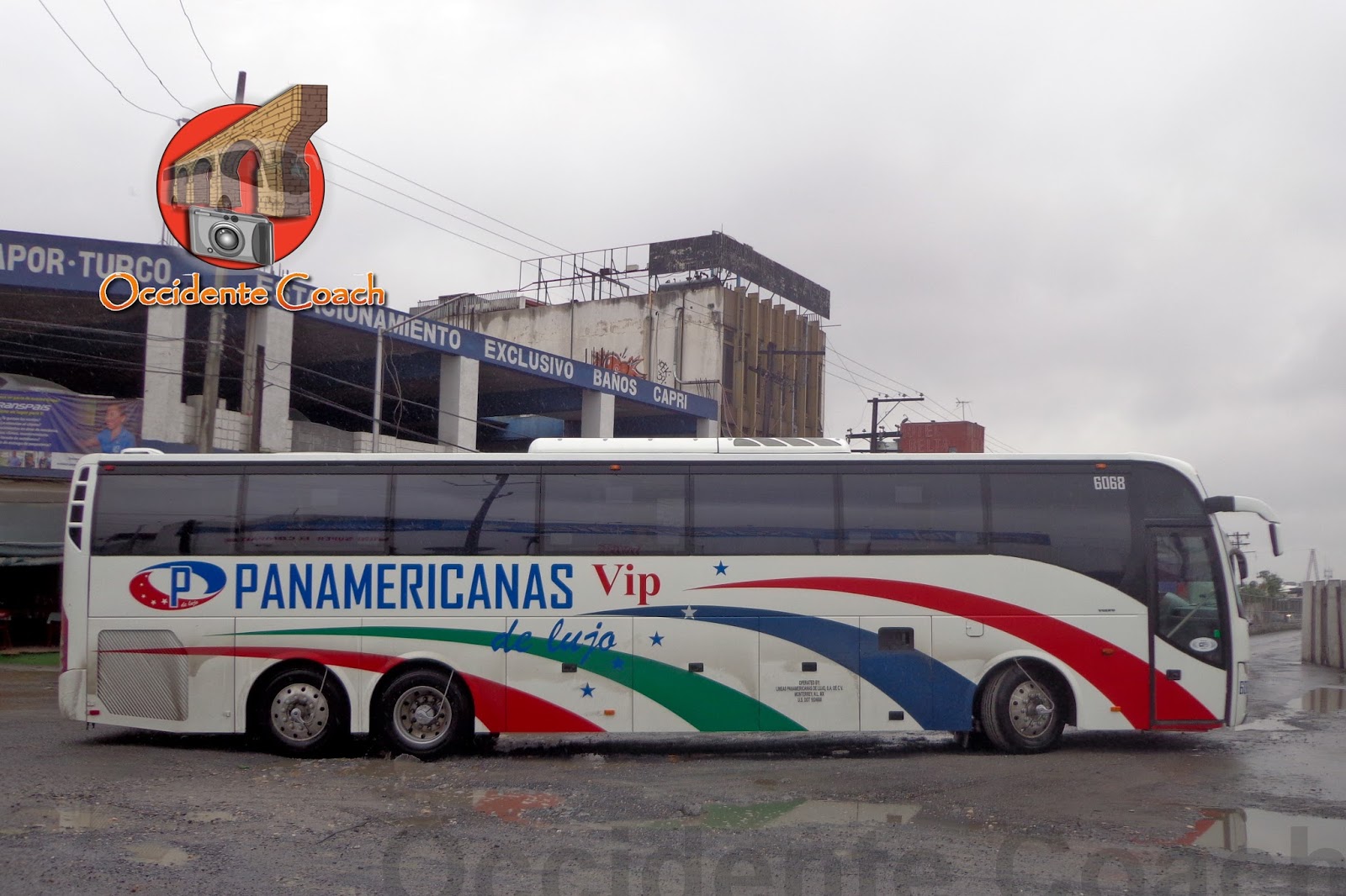 Occidente Coach Panamericanas VIP