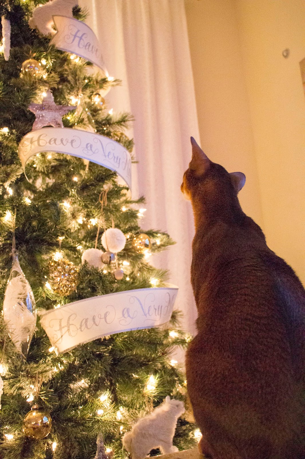 How to protect your Christmas tree from cats The Tails of 4 Kitties