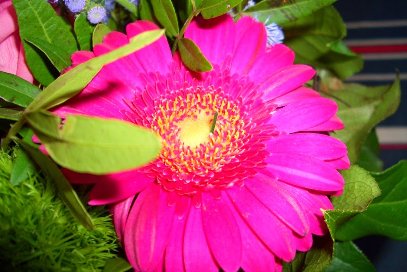 Vielen Dank Fur Die Blumen