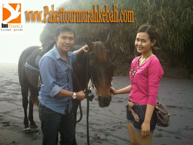  Horse Riding in Bali