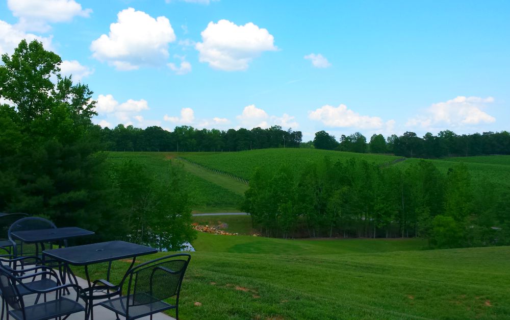 Discovering Yadkin Valley A NC Weekend Wine Adventure (Part 3) Hines