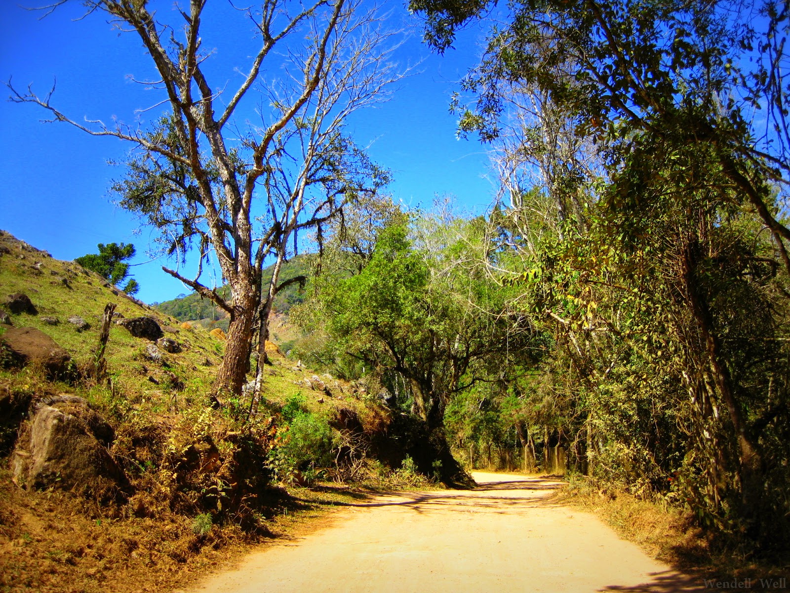 paisagem bucólica