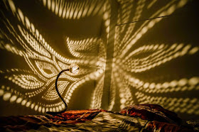 مذهل: فنانة ليتوانية تحول جوز الهند إلى لوحات ضوئية مدهشة!