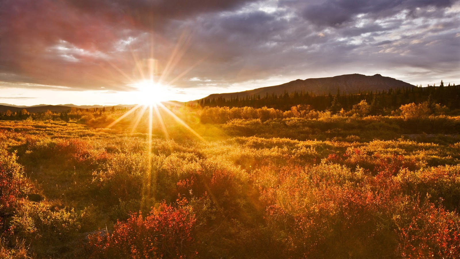 Shine HD Wallpapers: Sunrise Wallpapers HD