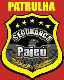 Resultado de imagem para Segurança Pajeu