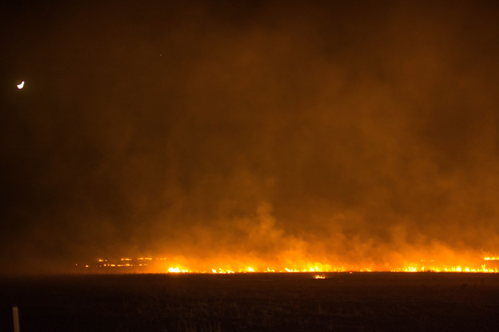 Поле горит. Полыхающее поле. Пожар в Семчино сегодня. Семчино поле. Нефтебаза в рязани горит сегодня