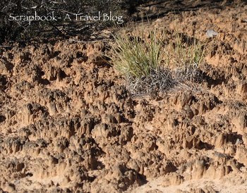 National Monument- Utah's Natural Bridges | Scrapbook -A Travel Blog