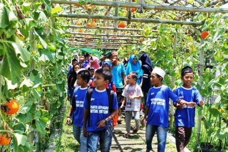 Agrowisata Terbuka Buatan