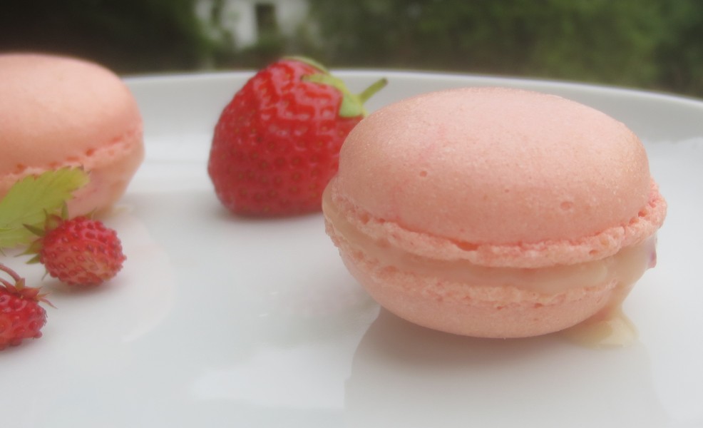 Barbaras Spielwiese: Erdbeer-Macarons