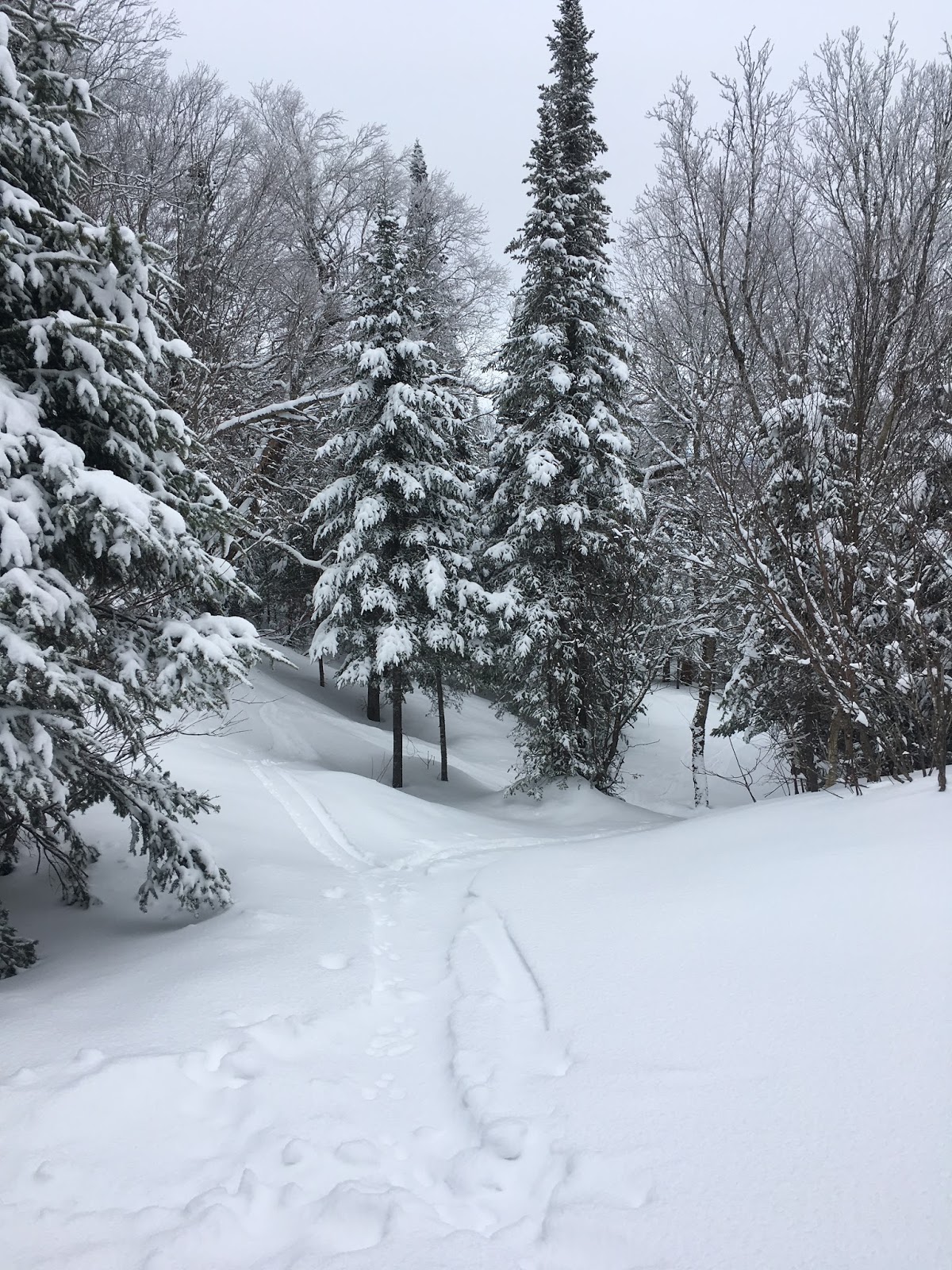Skiglisse Le lièvre et la tortue du lac Lézard