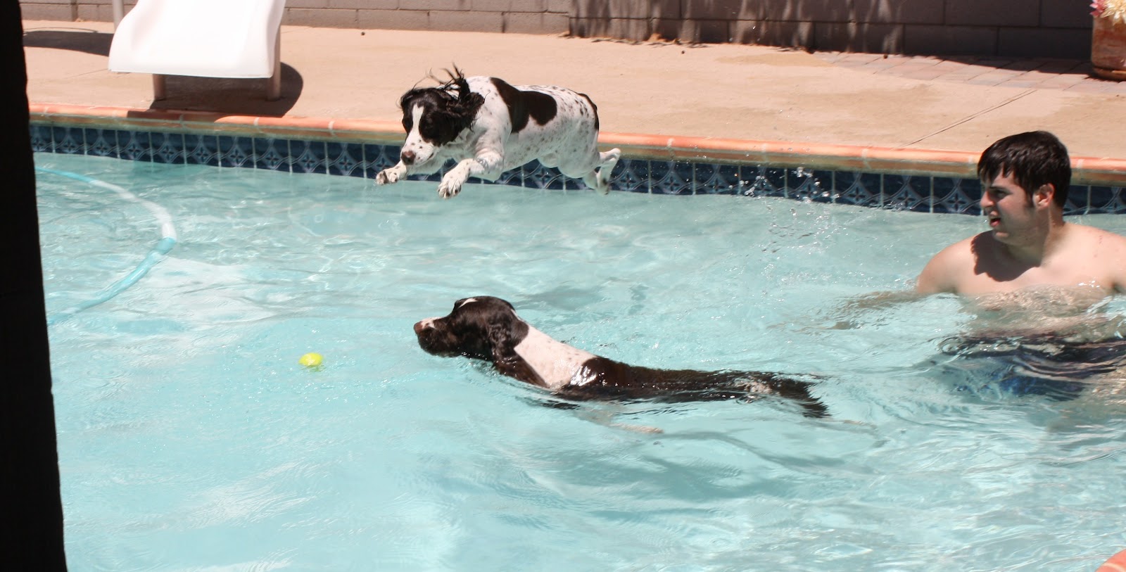 The Word Spot - Ava Jenkins: On The Road--Doc Encounters Poop, Pool and ...