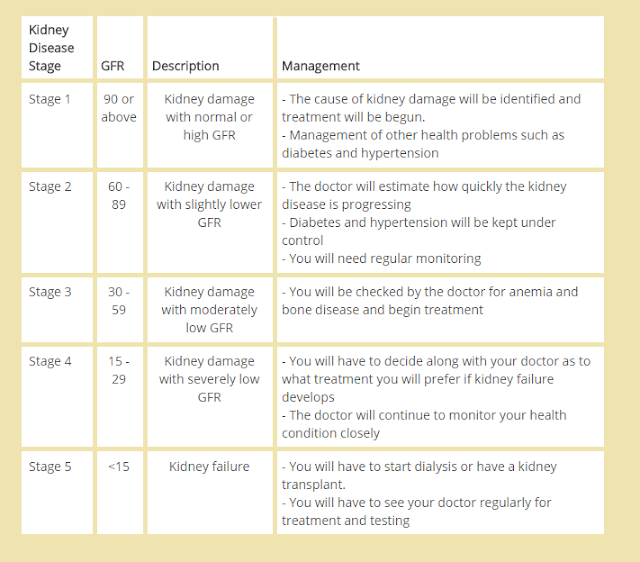 chronic kidney disease stages